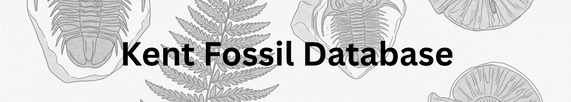 Kent Fossil Database